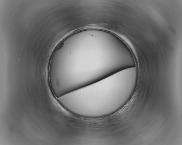 X0000110891341200906180958