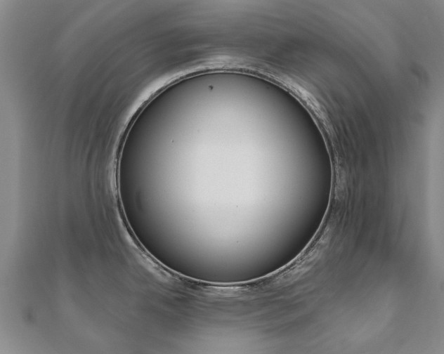 X0000110891342200906180958