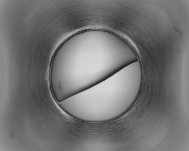 X0000110891343200906180958