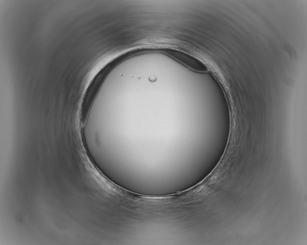X0000110891344200906180958
