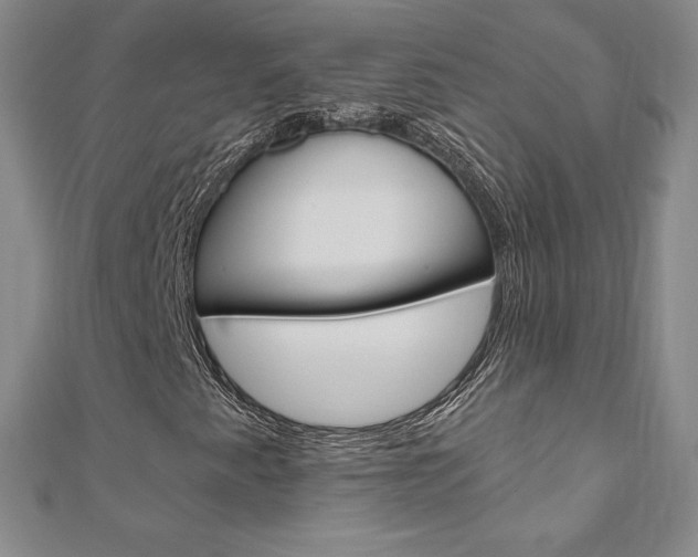 X0000110891345200906180957