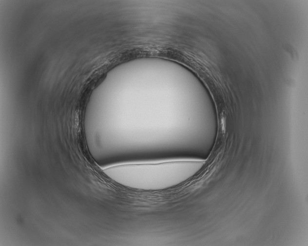 X0000110891347200906180957