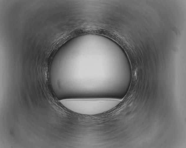 X0000110891348200906180957