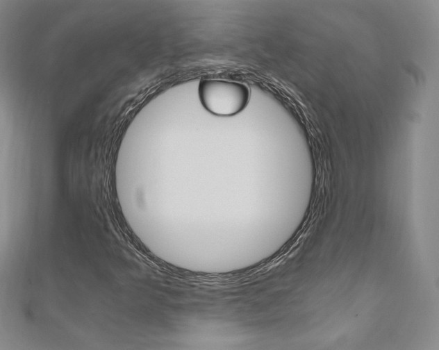 X0000110891349200906180957