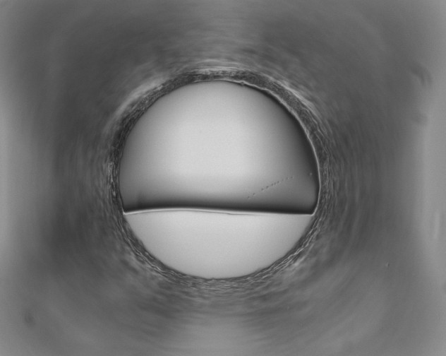 X0000110891351200906180957
