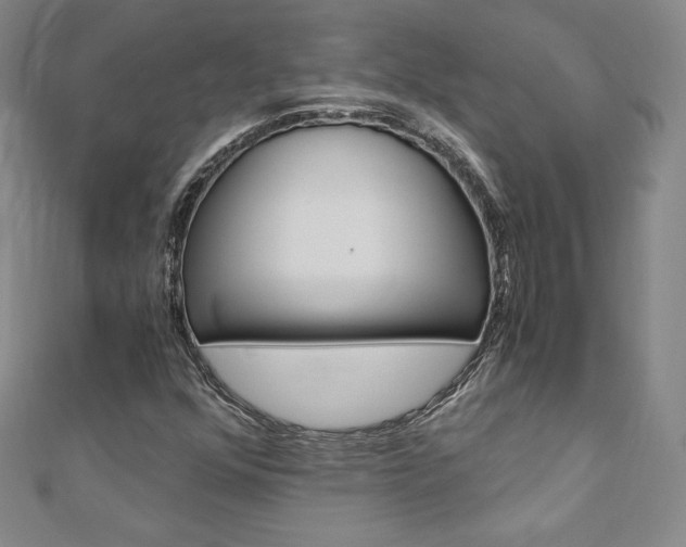 X0000110891352200906180957