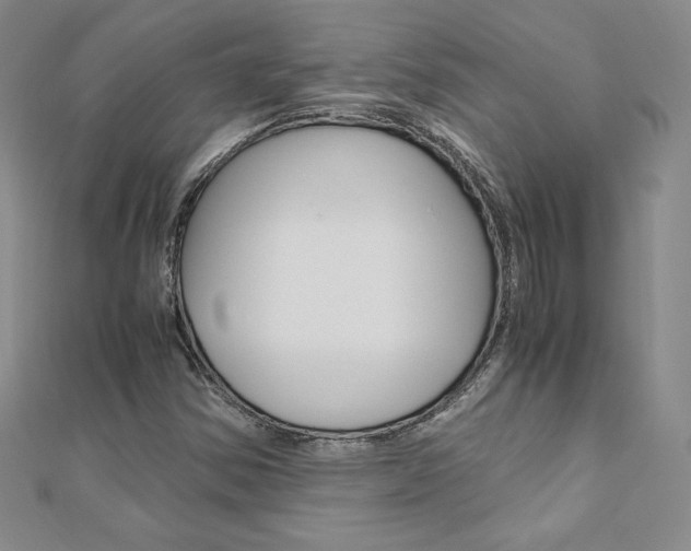 X0000110891354200906180957