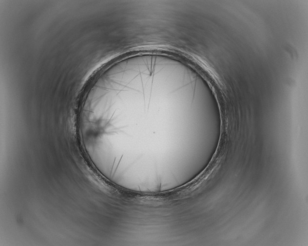 X0000110891356200906180957