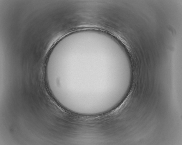 X0000110891357200906180957
