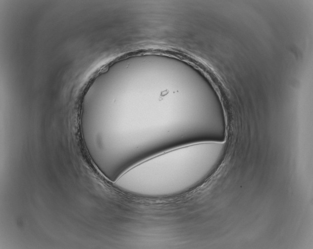 X0000110891359200906180957