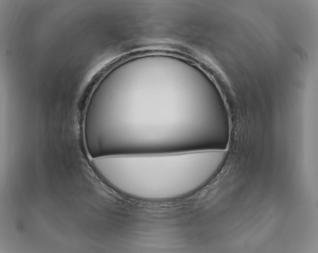 X0000110891360200906180957