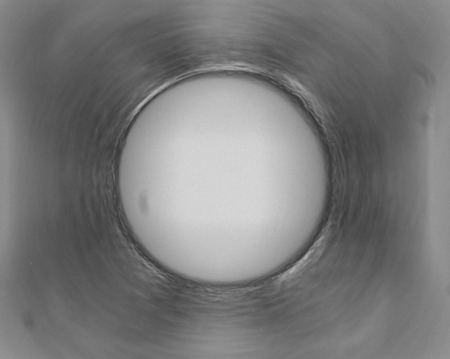 X0000110891361200906180957