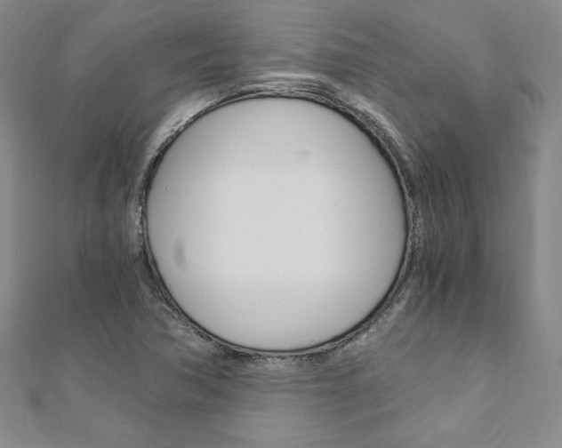 X0000110891362200906180957