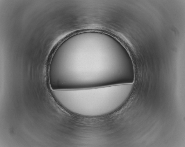 X0000110891364200906180957