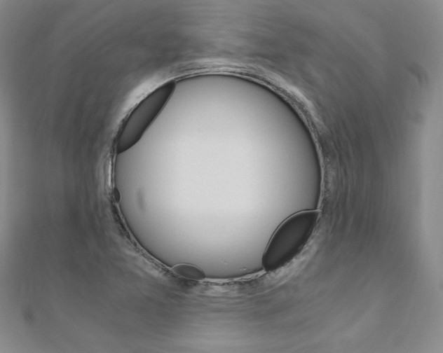 X0000110891365200906180957