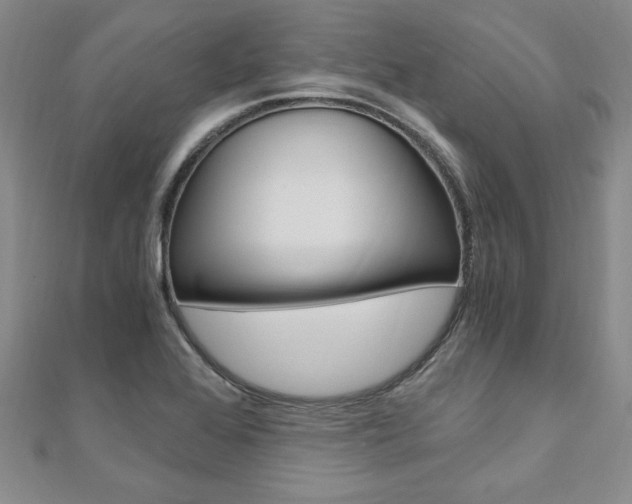 X0000110891368200906180957