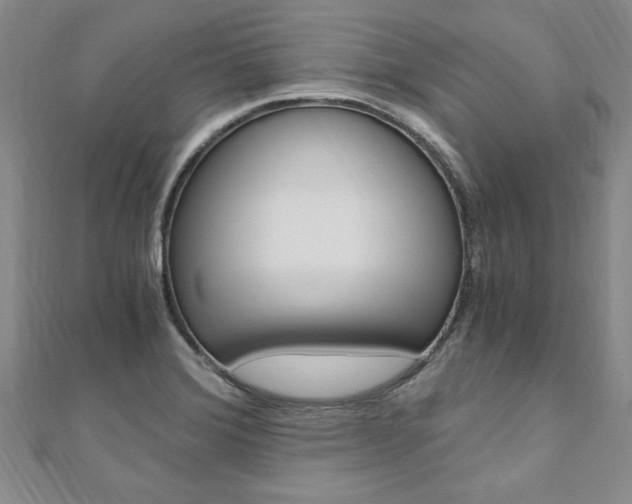X0000110891372200906180957