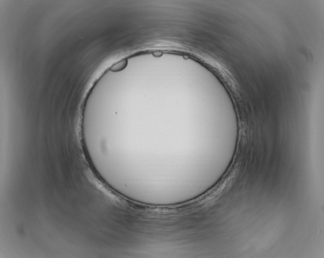 X0000110891374200906180957