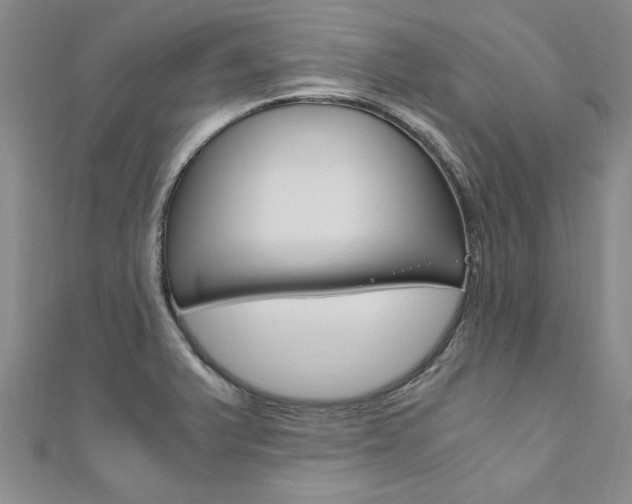 X0000110891375200906180957