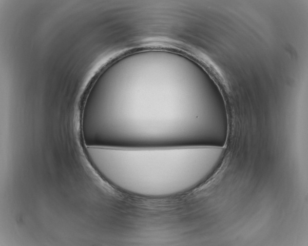 X0000110891376200906180957