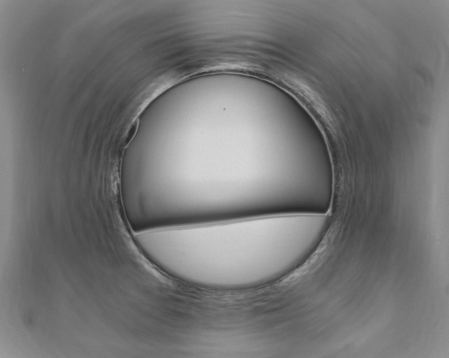 X0000110891377200906180957