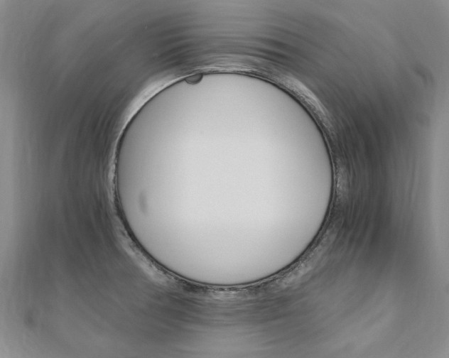 X0000110891378200906180957