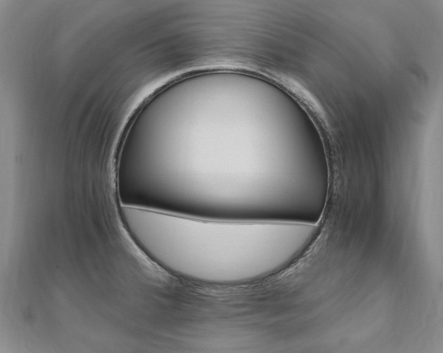 X0000110891380200906180957