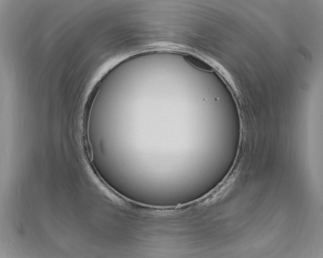 X0000110891381200906180957