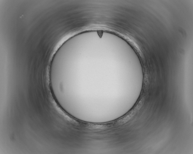 X0000110891382200906180956