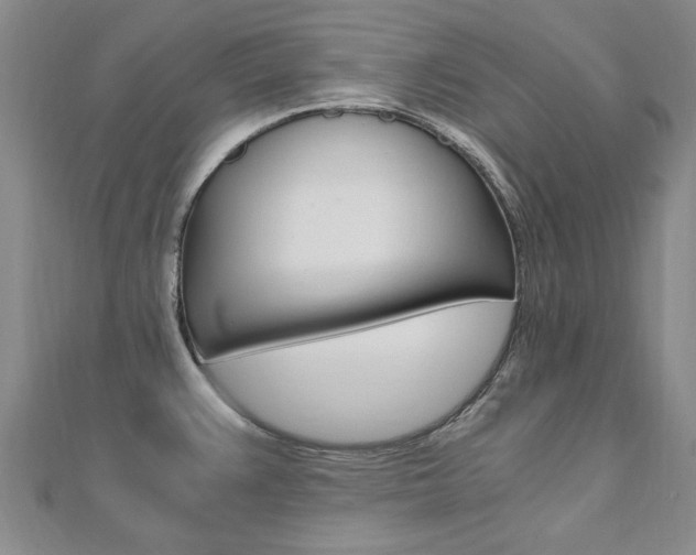 X0000110891383200906180956