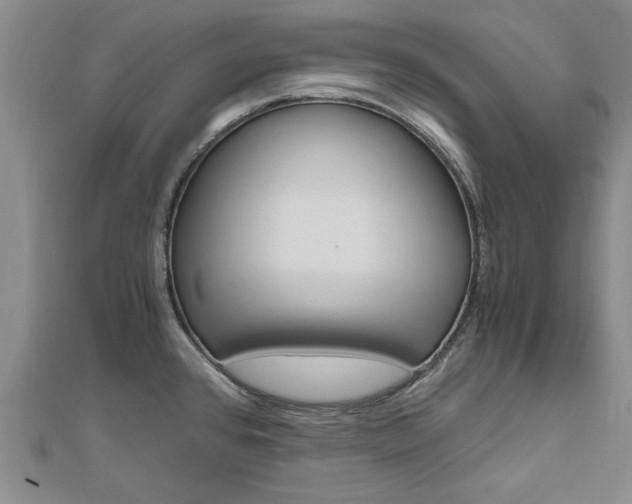 X0000110891384200906180956