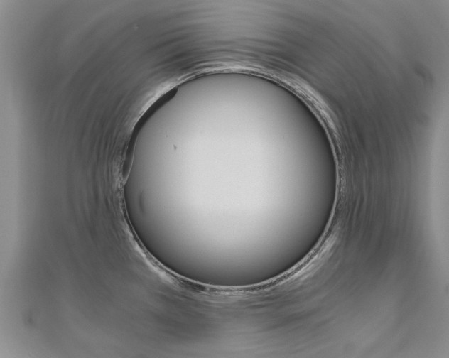 X0000110891385200906180956