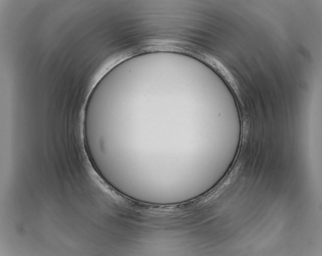 X0000110891386200906180956