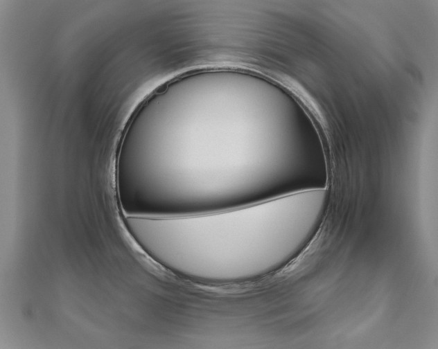 X0000110891388200906180956