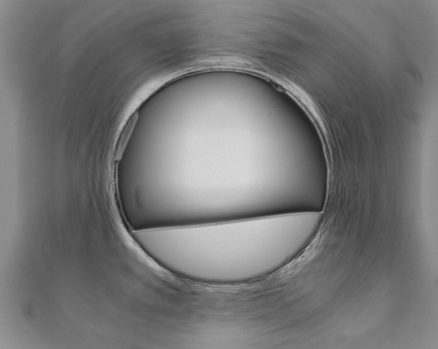 X0000110891389200906180956