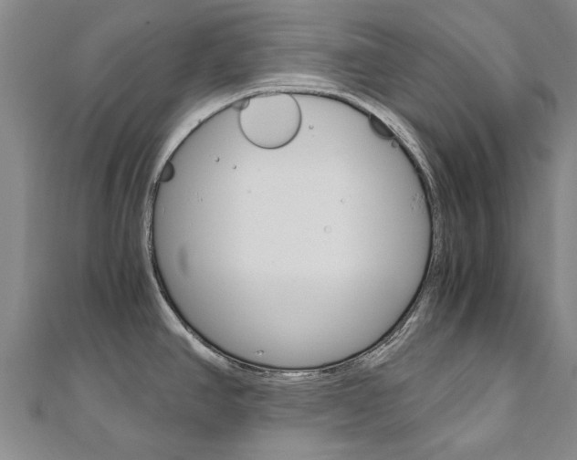 X0000110891390200906180956