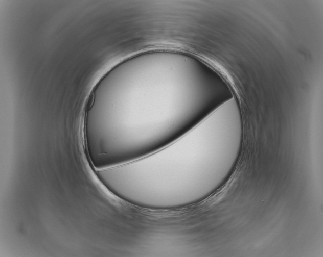 X0000110891391200906180956
