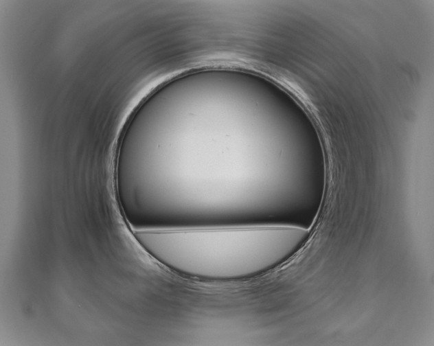X0000110891392200906180956