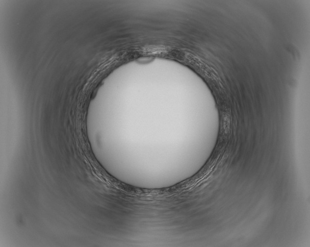 X0000110891393200906180956