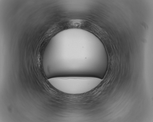 X0000110891394200906180956