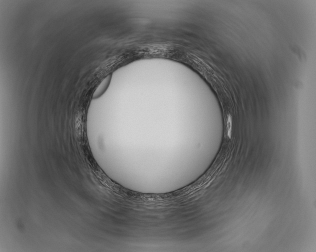 X0000110891395200906180956