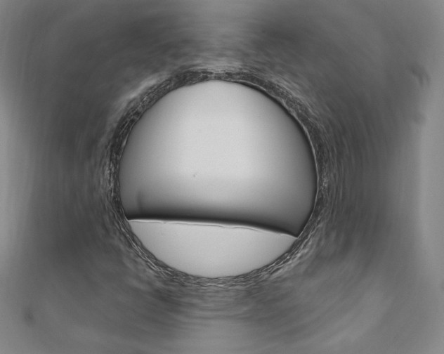 X0000110891398200906180956