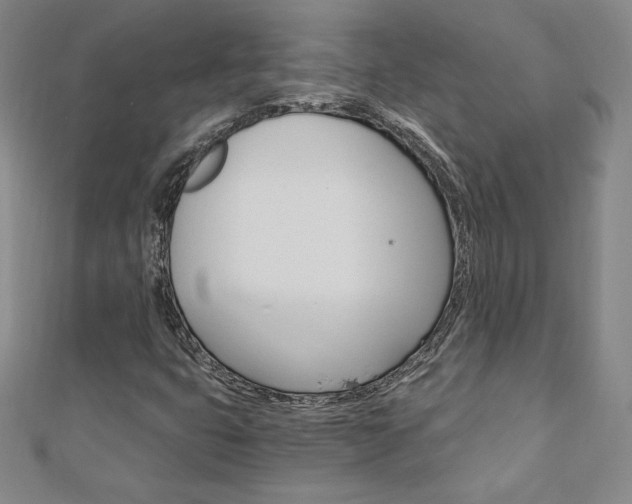 X0000110891399200906180956