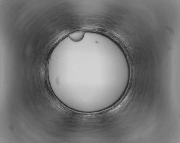 X0000110891401200906180956