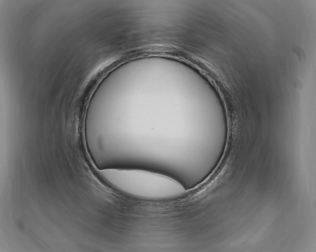 X0000110891402200906180956