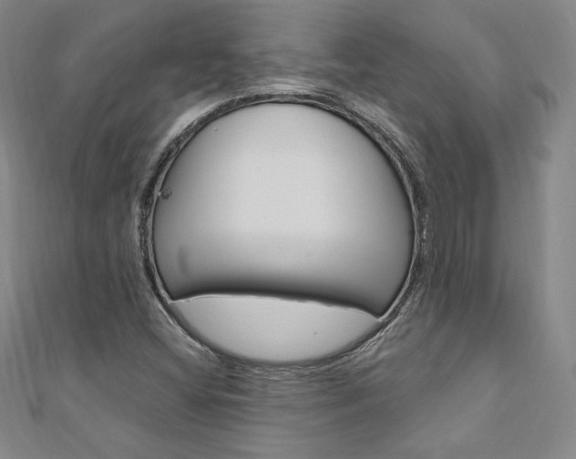 X0000110891404200906180956