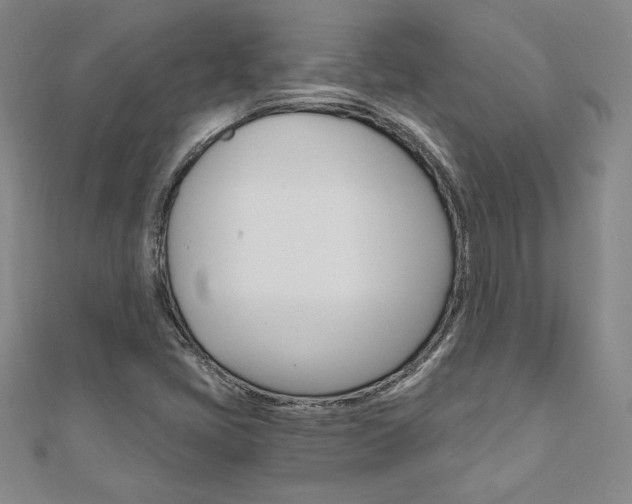 X0000110891405200906180956