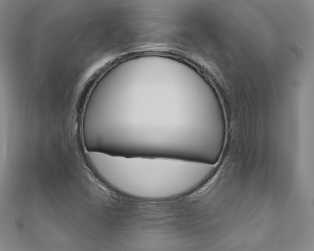 X0000110891406200906180956