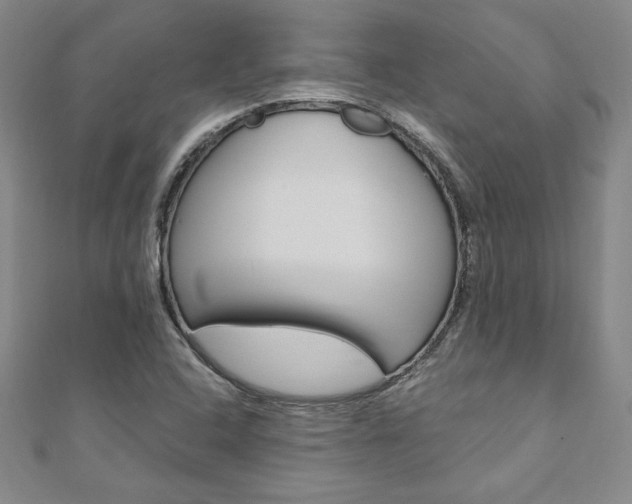 X0000110891408200906180956
