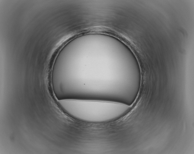 X0000110891410200906180956